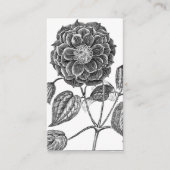 植物花 名刺 (正面)