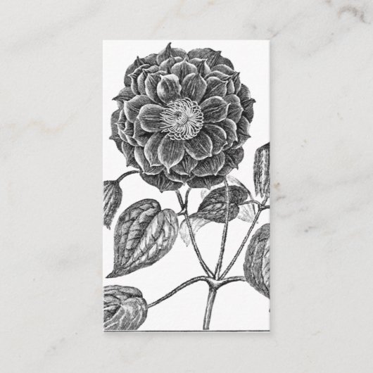 植物花 名刺 (正面)