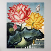 植物芸術寺植物植物学院のフローラエジプトウォーターリリー ポスター (正面)
