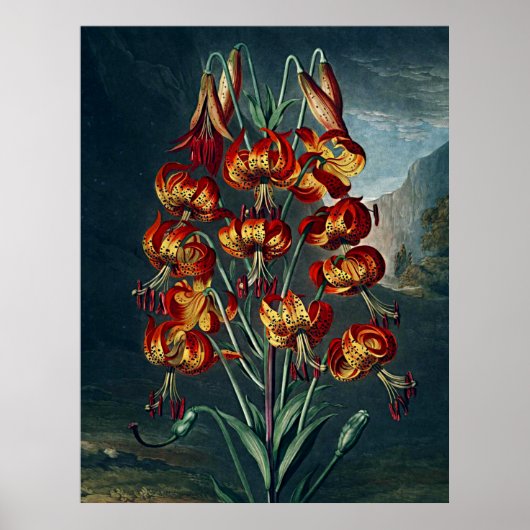 植物芸術寺花の絶妙な百合 ポスター (正面)