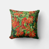 植物芸術：チリのバーニングブッシュとEmuウォレン クッション (正面)