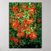 植物芸術：チリのバーニングブッシュとEmuウォレン ポスター (正面)