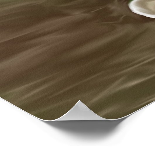 植物芸術 ポスター (角)