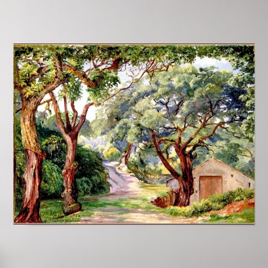 植物芸術:リスボンの近くのシントラでコルクの木 ポスター (正面)