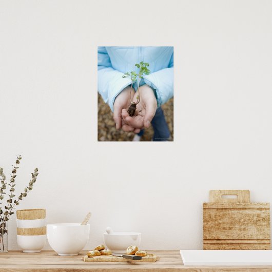 植物苗 ポスター (キッチン)