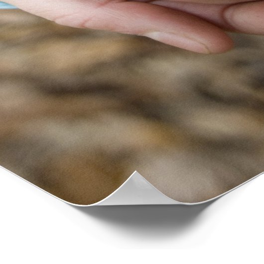 植物苗 ポスター (角)