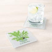 植物誇りを持った母 – 白の鳥の巣シダ。 ガラスコースター (アングル)