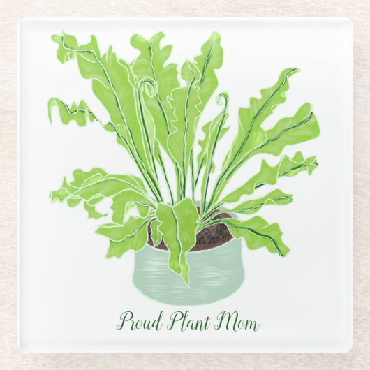 植物誇りを持った母 – 白の鳥の巣シダ。 ガラスコースター (正面)