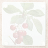 植物赤さくらんぼ ガラスコースター (裏面)