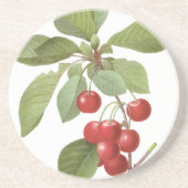 植物赤さくらんぼ コースター (正面)