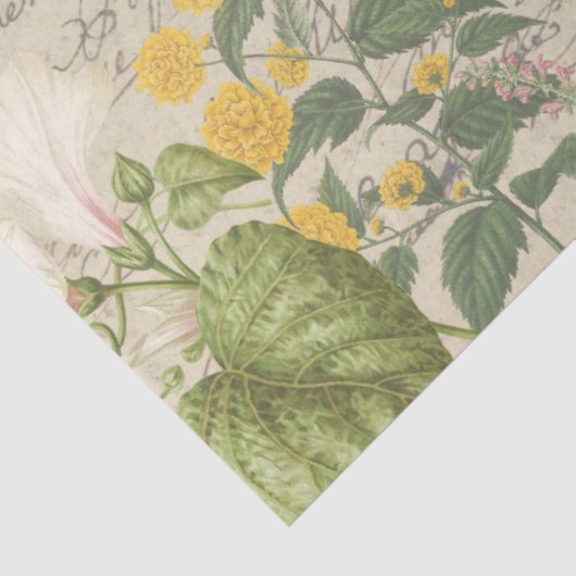 植物野草蝶エフエメラデクページ 薄葉紙 (詳細)