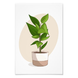 植物1 In Vector Posterプリントfrom My Sims CC フォトプリント