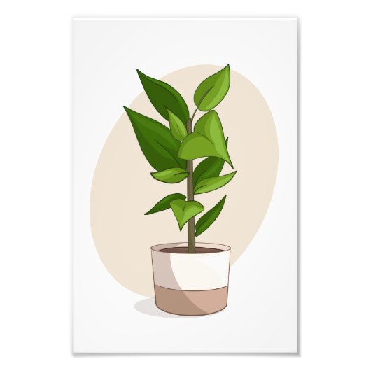 植物1 In Vector Posterプリントfrom My Sims CC フォトプリント (正面)