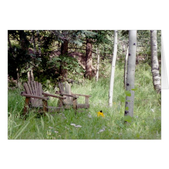 《植物》アスペンでリラックスして下さい (正面横)