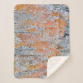 《植物》アスペンと雪 |コロラド州,ロッキー山脈 シェルパブランケット (正面)