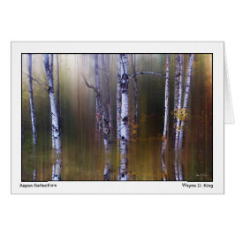 《植物》アスペンの反射