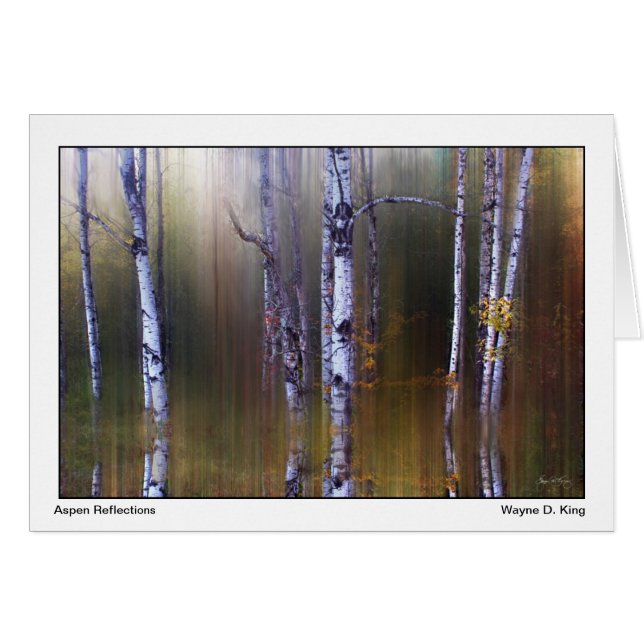 《植物》アスペンの反射 (正面横)