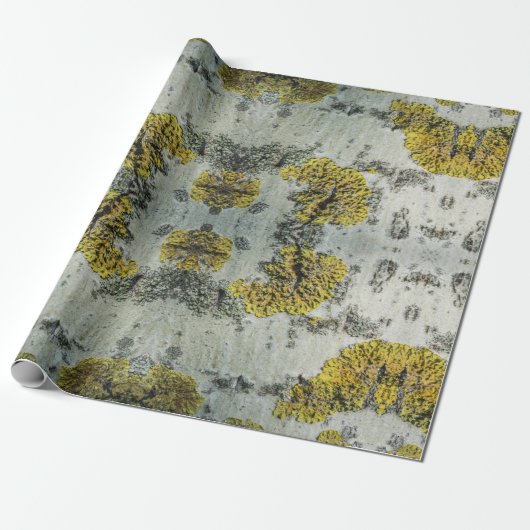 《植物》アスペンの実在木の樹皮の写真 – Natural Amulet ラッピングペーパー (アンロールド)