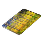 《植物》アスペンの木々の秋のロッキー マグネット (左側)