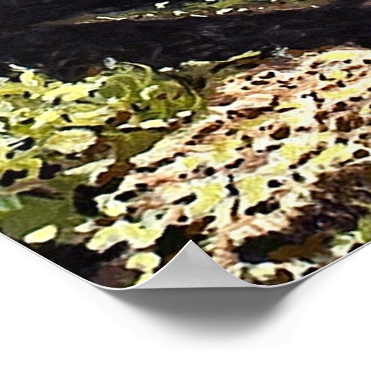 《植物》アスペンの木々の美しい林Crested Butte Po ポスター (角)