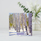 《植物》アスペンの木々 シーズンカード (スタンド正面)