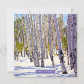 《植物》アスペンの木々 シーズンカード (正面)