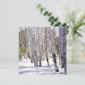 《植物》アスペンの木々 招待状 (スタンド正面)