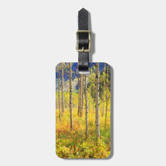 《植物》アスペンの木が秋のロックイ ラゲッジタグ (正面縦)