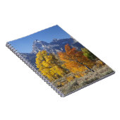 《植物》アスペンの木とテトン山脈 ノートブック (右側)