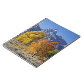 《植物》アスペンの木とテトン山脈 ノートブック (左側)