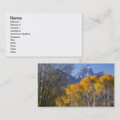 《植物》アスペンの木とテトン山脈 名刺 (正面/裏面)