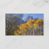 《植物》アスペンの木とテトン山脈 名刺 (裏面)