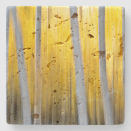 《植物》アスペンの木に囲まれる ストーンコースター