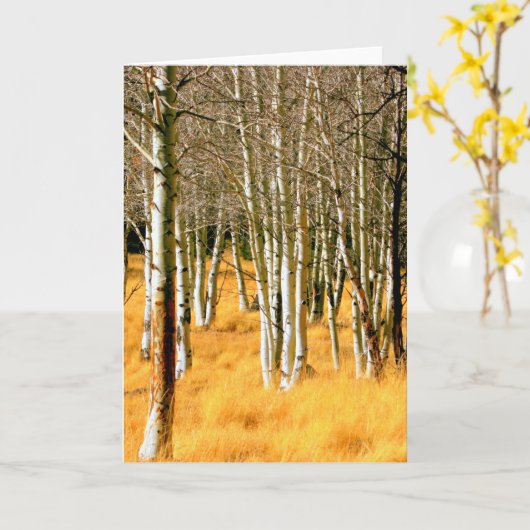 《植物》アスペンの木の挨拶状 カード (黄色い花)