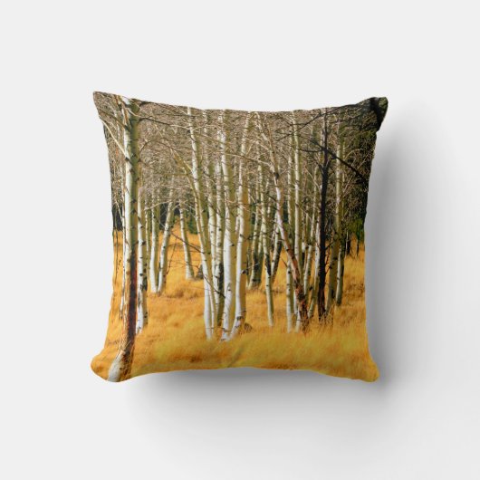 《植物》アスペンの木の枕 クッション (正面)