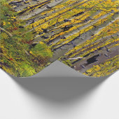 《植物》アスペンの木の森(秋) ラッピングペーパー (角)