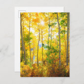 《植物》アスペンの木の秋 |シエラネバダ山脈（カリフォルニア州） ポストカード (正面/裏面)