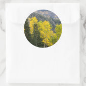 《植物》アスペンの木（ポピュラス・トレムロイデス）と針葉樹2 ラウンドシール (バッグ)