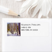 《植物》アスペンの森 ラベル (インサイチュ)