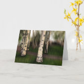 《植物》アスペンの目が我々に向いている カード (黄色い花)