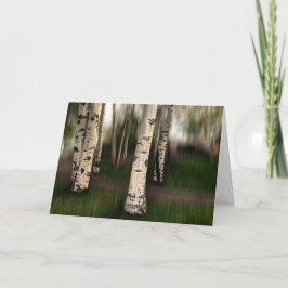 《植物》アスペンの目が我々に向いている カード