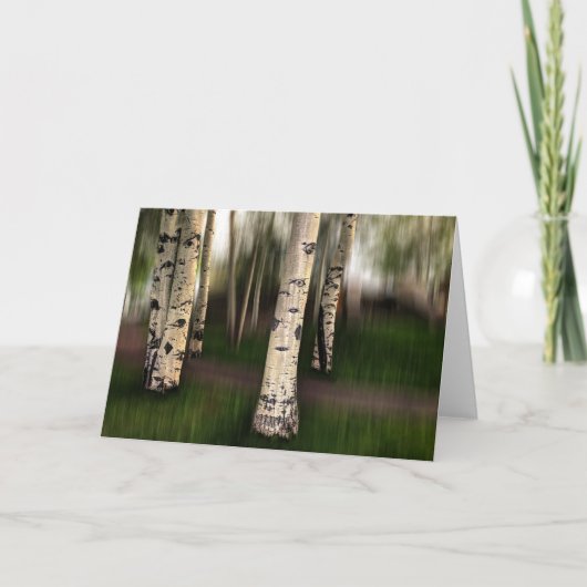 《植物》アスペンの目が我々に向いている カード (正面)