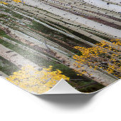 《植物》アスペンの秋 フォトプリント            (角)