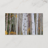 《植物》アスペンの秋 名刺 (裏面)