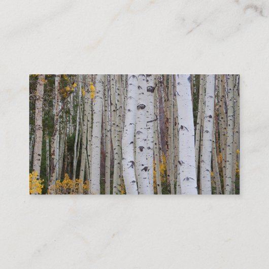 《植物》アスペンの秋 名刺 (裏面)