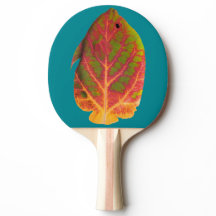 《植物》アスペンの葉の熱帯魚1