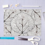 《植物》アスペンの葉の骨組1 薄葉紙 (クラフト)