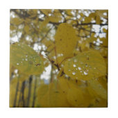 《植物》アスペンの葉 タイル (正面)