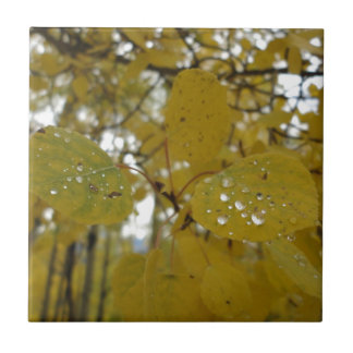 《植物》アスペンの葉 タイル