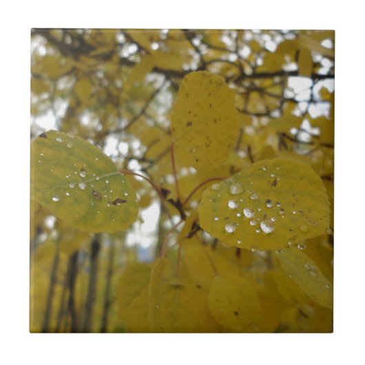 《植物》アスペンの葉 タイル (正面)